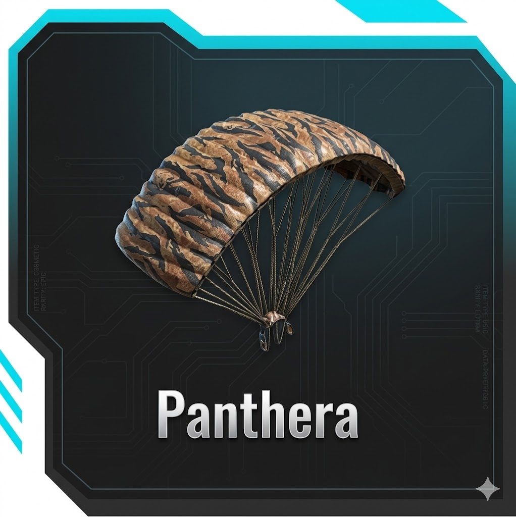 Skin Tool