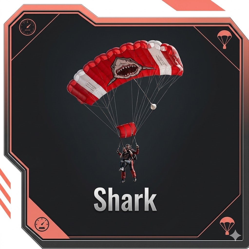 Skin Tool